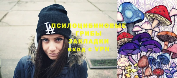 герыч Верхний Тагил