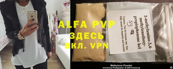 амф Верея